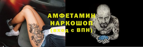 индика Арсеньев