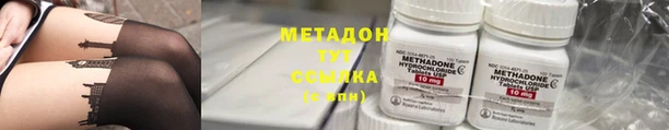 индика Арсеньев