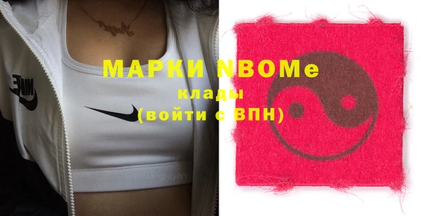 индика Арсеньев