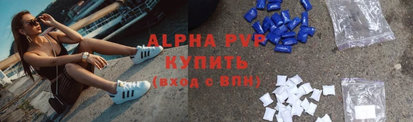 индика Арсеньев